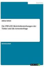 Ewg/Eu-Beitrittsbestrebungen Der Turkei Und Die Armenierfrage af Adrian Schein