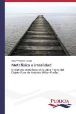 Metafisica e irrealidad af Jesus Villagrasa Lasaga