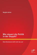 Wie steuert die Politik in der Doppik? Eine Kommune stellt sich neu auf af Brigitte Keller