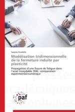 Modelisation Tridimensionnelle de la Fermeture Induite Par Plasticite af Fiordalisi-S