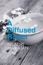 Diffused Room af Niladri Mahajan