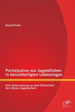 Partizipation von Jugendlichen in benachteiligten Lebenslagen af David Streib