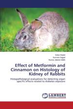 Effect of Metformin and Cinnamon on Histology of Kidney of Rabbits af Sajjad Sumera