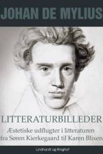 Litteraturbilleder: Æstetiske udflugter i litteraturen fra Søren Kierkegaard til Karen Blixen af Johan de Mylius