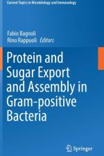 Protein and Sugar Export and Assembly in Gram-positive Bacteria