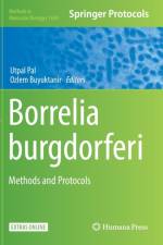 Borrelia burgdorferi