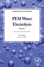 PEM Water Electrolysis af Dmitri (Director Bessarabov