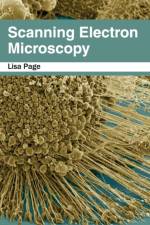 Scanning Electron Microscopy