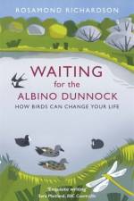 Waiting for the Albino Dunnock af Rosamond Richardson