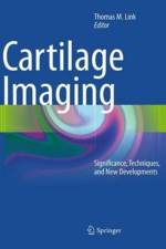 Cartilage Imaging