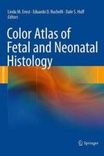 Color Atlas of Fetal and Neonatal Histology