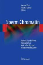 Sperm Chromatin
