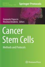 Cancer Stem Cells