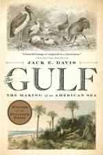 The Gulf af Jack E. (University of Florida) Davis