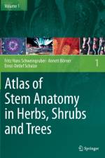 Atlas of Stem Anatomy in Herbs, Shrubs and Trees