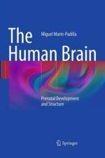 The Human Brain af Miguel Marin-Padilla