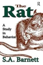The Rat af S. A. Barnett