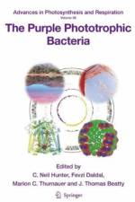 The Purple Phototrophic Bacteria