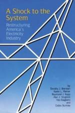 A Shock to the System af Timothy J. Brennan
