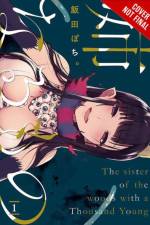 The Elder Sister-Like One, Vol. 1 af Iida Pochi.
