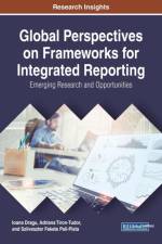 Global Perspectives on Frameworks for Integrated Reporting af Ioana Dragu