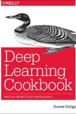 Deep Learning Cookbook af Douwe Osinga