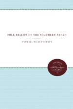 Folk Beliefs of the Southern Negro af Newbell Niles Puckett