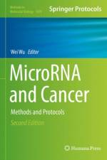 MicroRNA and Cancer
