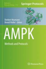 AMPK