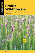 Prairie Wildflowers af Don Kurz