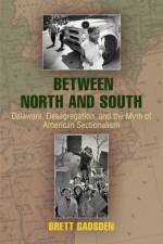 Between North and South af Brett Gadsden