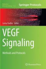 VEGF Signaling