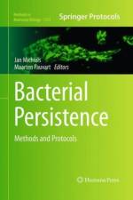 Bacterial Persistence