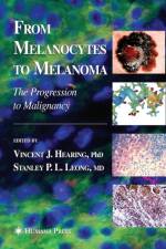 From Melanocytes to Melanoma