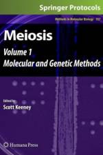 Meiosis