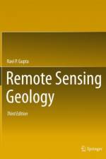 Remote Sensing Geology af Ravi P. Gupta