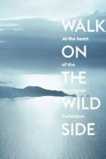 Walk on the Wild Side af Fabrice Bousteau