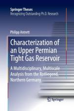 Characterization of an Upper Permian Tight Gas Reservoir af Philipp Antrett