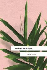 Evening Primrose: a heart-wrenching novel for our times af Kopano Matlwa