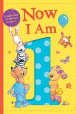 Now I Am 1
