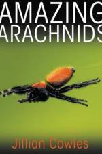 Amazing Arachnids af Jillian Cowles