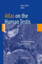Atlas on the Human Testis