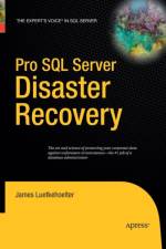 Pro SQL Server Disaster Recovery af James Luetkehoelter
