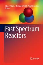 Fast Spectrum Reactors