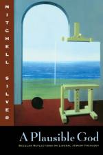 A Plausible God af Mitchell Silver