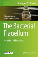 Bacterial Flagellum