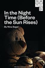 In the Night Time (Before the Sun Rises) af Nina (Author) Segal