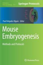 Mouse Embryogenesis
