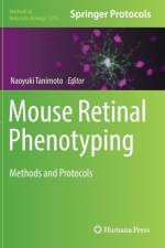 Mouse Retinal Phenotyping
