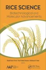 Rice Science: Biotechnological and Molecular Advancements